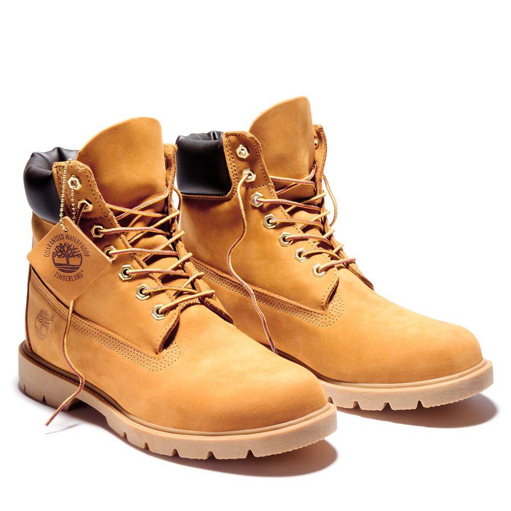 Bocanci De Zapada Timberland Barbati Maro - 6-Inch Basic Waterproof W/Padded Collar - Romania - AQGL